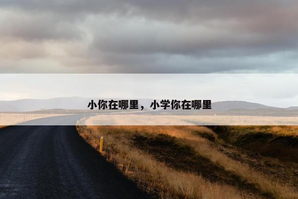 小你在哪里，小学你在哪里