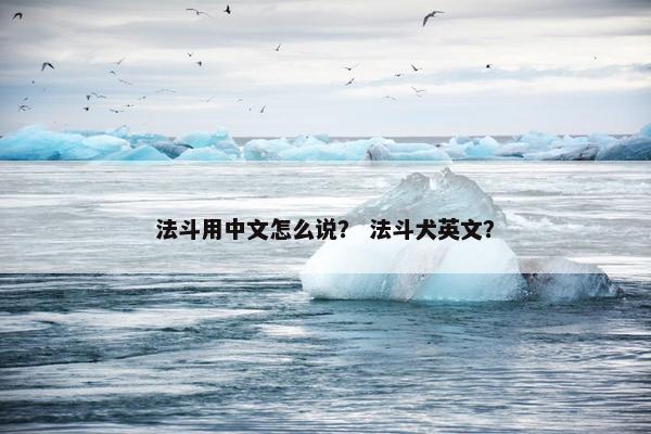 法斗用中文怎么说？ 法斗犬英文？