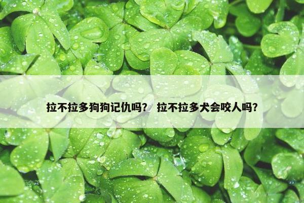 拉不拉多狗狗记仇吗？ 拉不拉多犬会咬人吗？