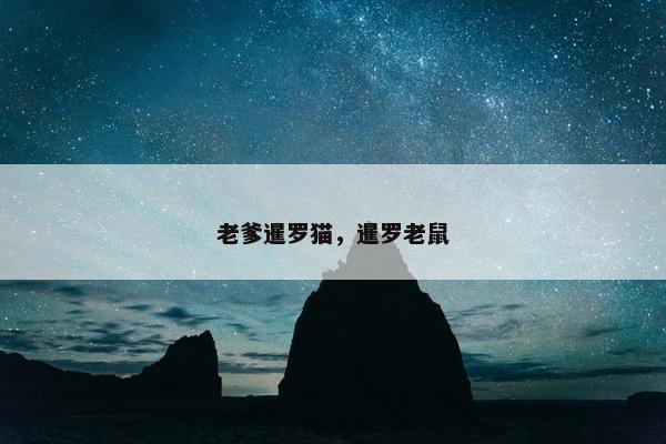 2025年6月22日 第12页