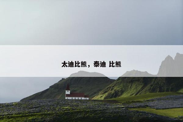 太迪比熊，泰迪 比熊
