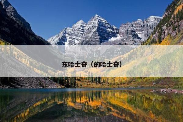 东哈士奇（的哈士奇）