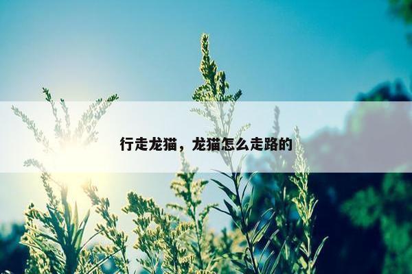 行走龙猫，龙猫怎么走路的