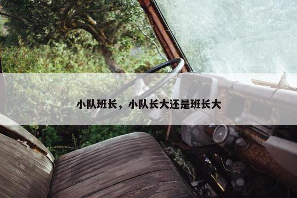 小队班长，小队长大还是班长大