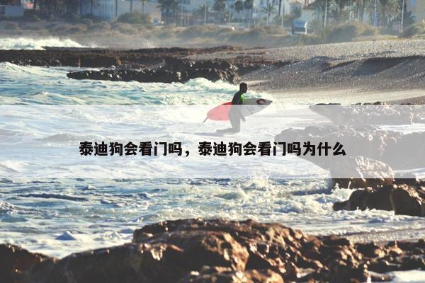 泰迪狗会看门吗，泰迪狗会看门吗为什么