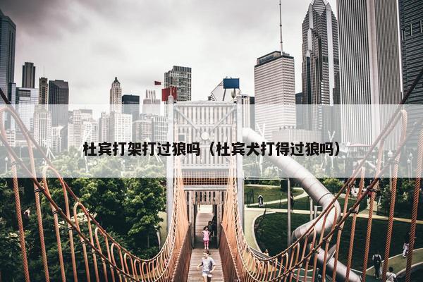杜宾打架打过狼吗（杜宾犬打得过狼吗）