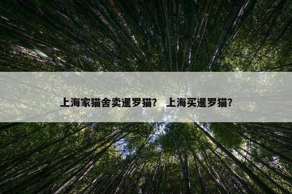 上海家猫舍卖暹罗猫？ 上海买暹罗猫？
