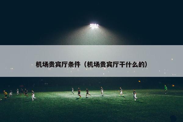 机场贵宾厅条件（机场贵宾厅干什么的）