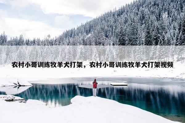 农村小哥训练牧羊犬打架，农村小哥训练牧羊犬打架视频