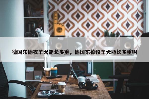 德国东德牧羊犬能长多重，德国东德牧羊犬能长多重啊