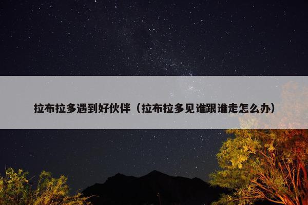 拉布拉多遇到好伙伴（拉布拉多见谁跟谁走怎么办）