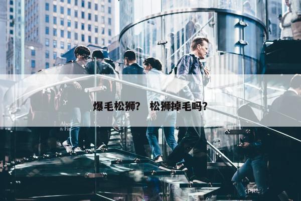 爆毛松狮？ 松狮掉毛吗？