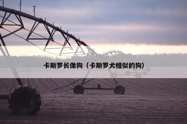 卡斯罗