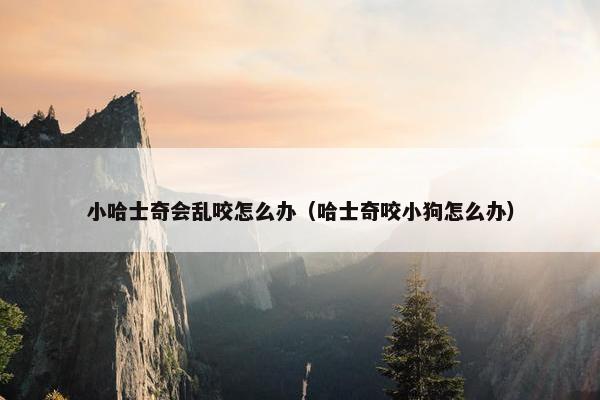 小哈士奇会乱咬怎么办（哈士奇咬小狗怎么办）