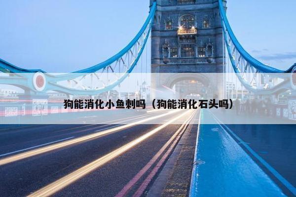 狗能消化小鱼刺吗（狗能消化石头吗）