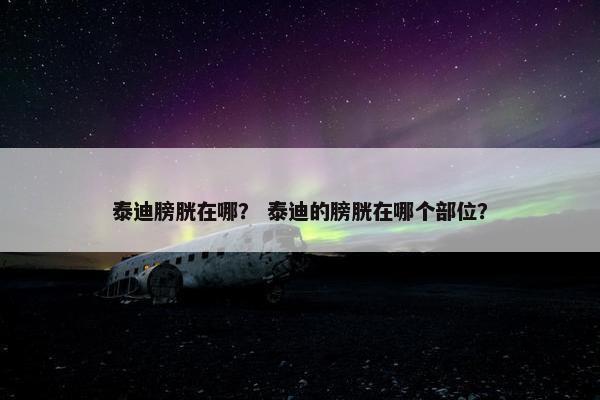 泰迪膀胱在哪？ 泰迪的膀胱在哪个部位？