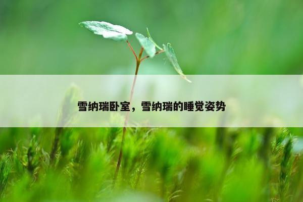 雪纳瑞卧室，雪纳瑞的睡觉姿势