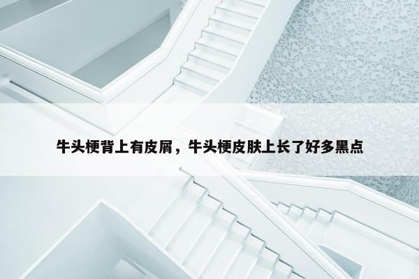 牛头梗背上有皮屑，牛头梗皮肤上长了好多黑点