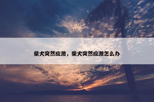 柴犬突然应激，柴犬突然应激怎么办