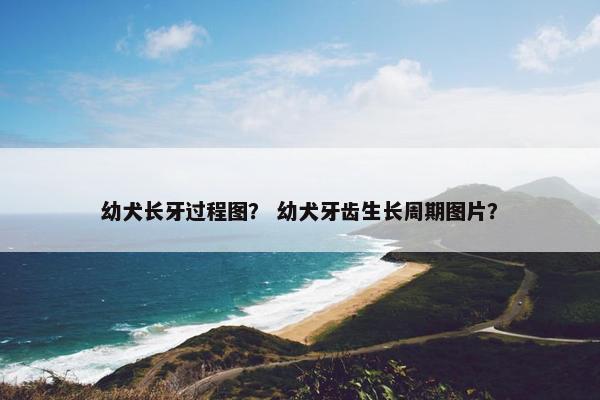 幼犬长牙过程图？ 幼犬牙齿生长周期图片？