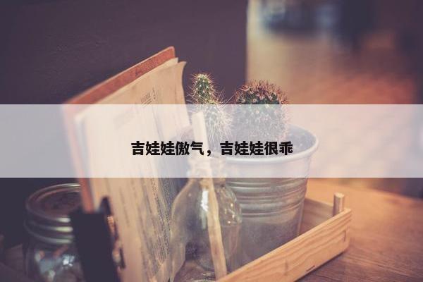 吉娃娃傲气，吉娃娃很乖