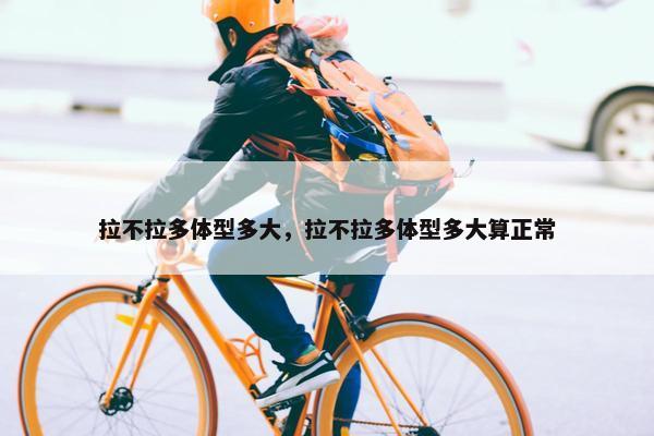 拉不拉多体型多大，拉不拉多体型多大算正常