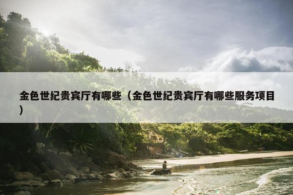 贵宾