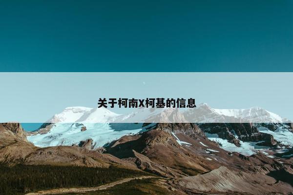关于柯南X柯基的信息