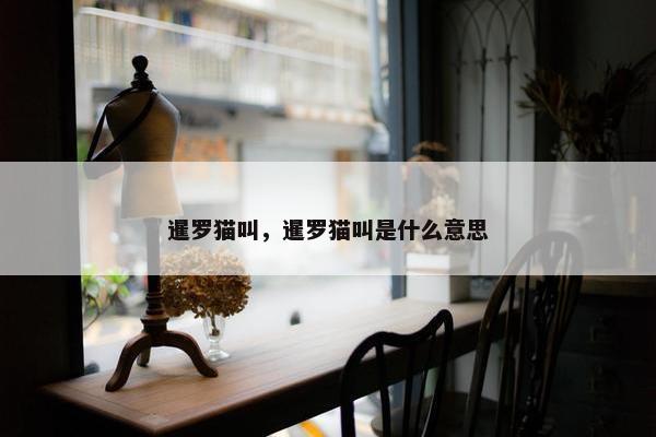 暹罗猫叫，暹罗猫叫是什么意思