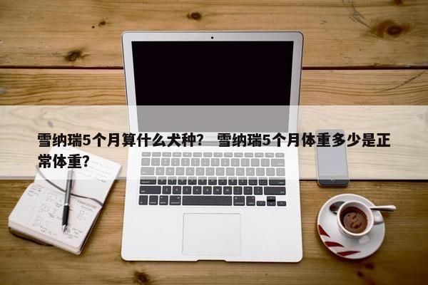 雪纳瑞5个月算什么犬种？ 雪纳瑞5个月体重多少是正常体重？