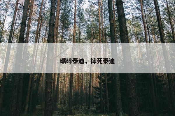 碾碎泰迪，摔死泰迪