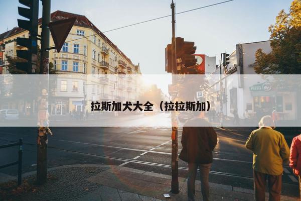 阿拉斯加