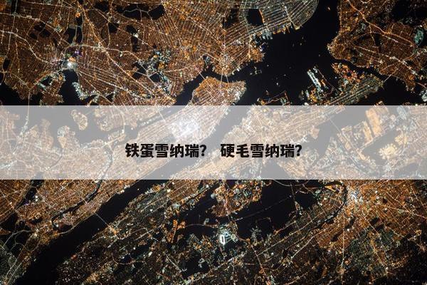 雪纳瑞