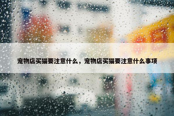 宠物店买猫要注意什么，宠物店买猫要注意什么事项
