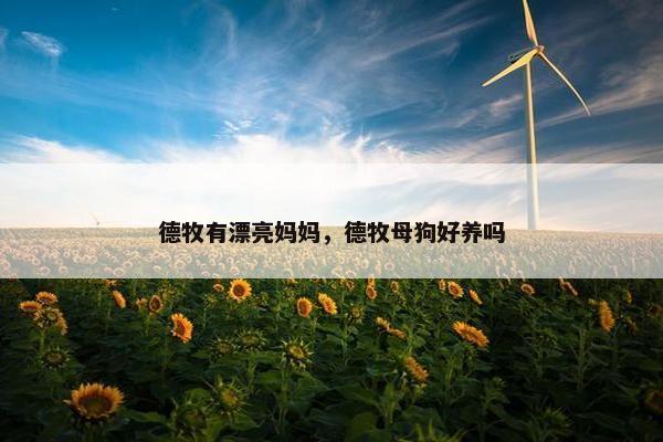 德牧有漂亮妈妈，德牧母狗好养吗