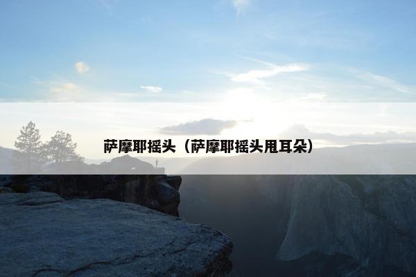 萨摩耶摇头（萨摩耶摇头甩耳朵）