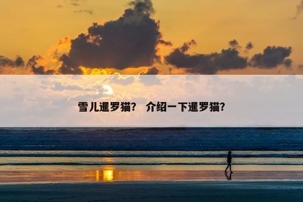 雪儿暹罗猫？ 介绍一下暹罗猫？