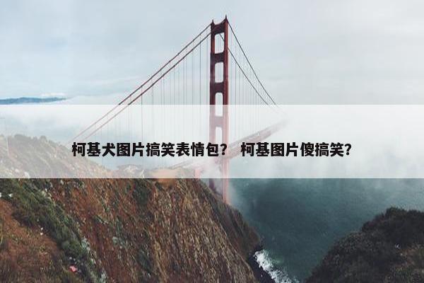 柯基犬图片搞笑表情包？ 柯基图片傻搞笑？