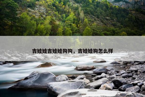 吉娃娃吉娃娃狗狗，吉娃娃狗怎么样