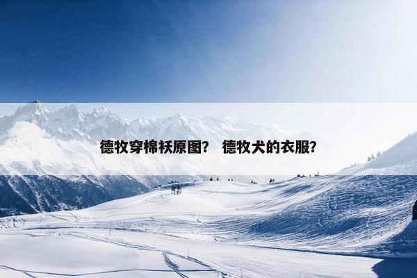 德牧穿棉袄原图？ 德牧犬的衣服？