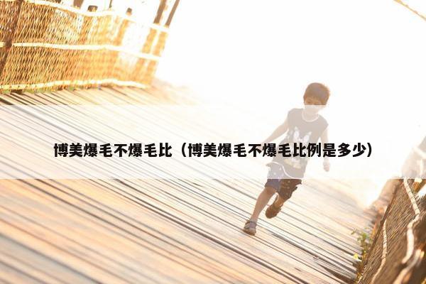 博美爆毛不爆毛比（博美爆毛不爆毛比例是多少）