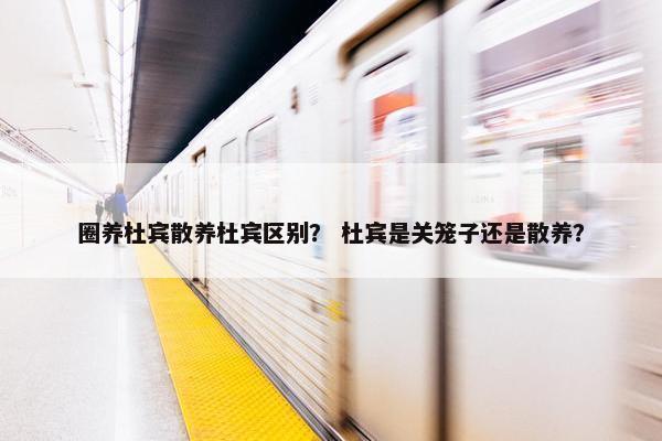 圈养杜宾散养杜宾区别？ 杜宾是关笼子还是散养？