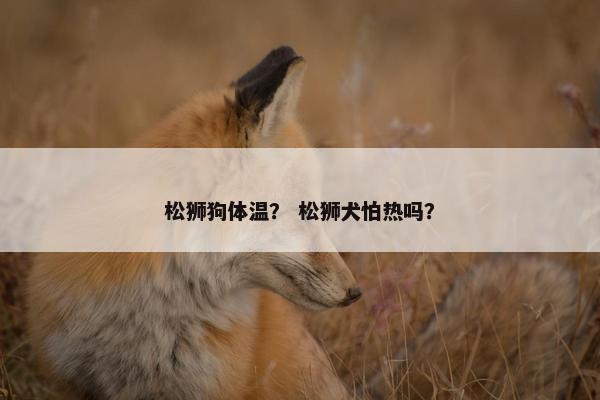 松狮狗体温？ 松狮犬怕热吗？