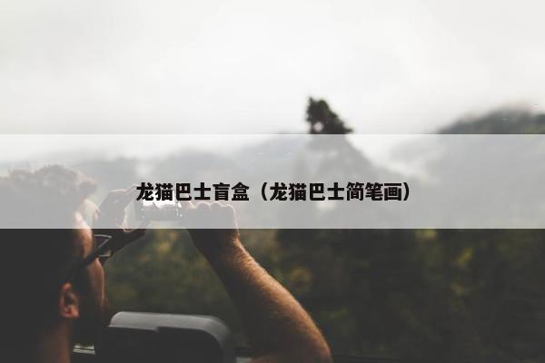 龙猫巴士盲盒（龙猫巴士简笔画）