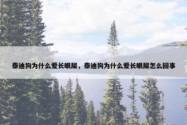 泰迪狗为什么爱长眼屎，泰迪狗为什么爱长眼屎怎么回事