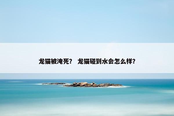 龙猫