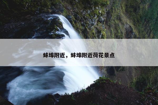 高加索