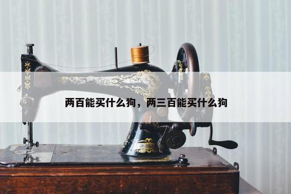 2025年6月