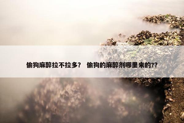 偷狗麻醉拉不拉多？ 偷狗的麻醉剂哪里来的?？