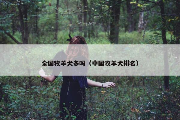 梦想启航